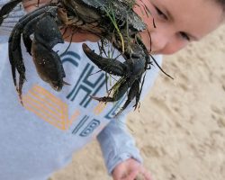 Voilà ce qu'on peut trouver dans la mer ! Voilà ce qu'on peut trouver dans la mer !
