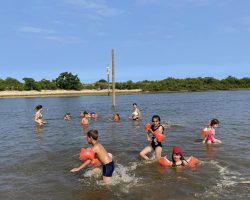 Les joies d'être dans l'eau Les joies d'être dans l'eau