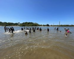 Les joies de la baignade Les joies de la baignade