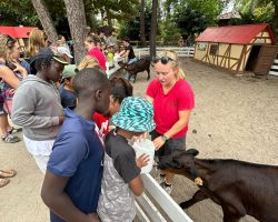 On peut même les toucher On peut même les toucher