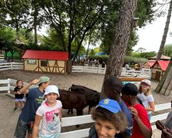 Les animaux : toujours appréciés Les animaux : toujours appréciés