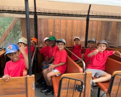 Les 6 -8 ans à la coccinelle Les 6 -8 ans à la coccinelle