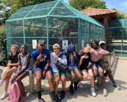 Les "grands" à la coccinelle Les "grands" à la coccinelle