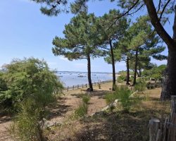 Dans le cadre enchanteur du Bassin Dans le cadre enchanteur du Bassin