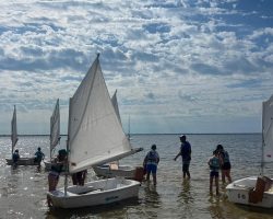 C'est parti ! C'est parti !