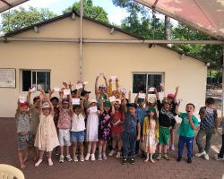 Diplômes de champion Diplômes de champion